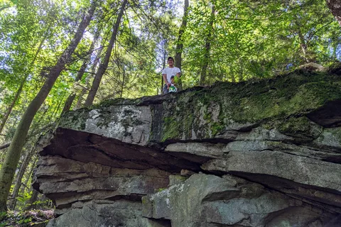 Audra State Park