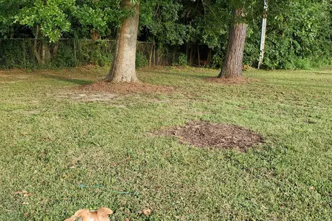 Eastern Pines RV Park