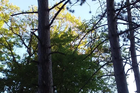 Lake Sch-Nepp-A-Ho Campground