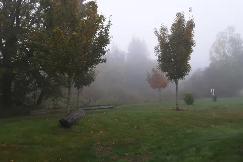 Wandering Spirit RV Park
