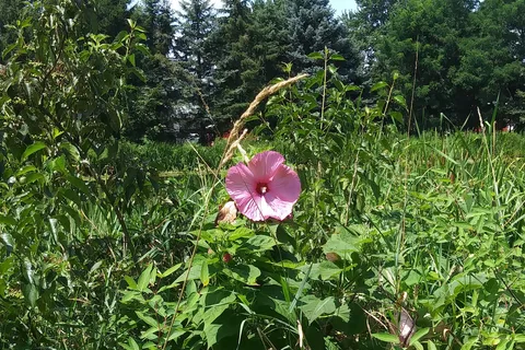 Caskeys Campground
