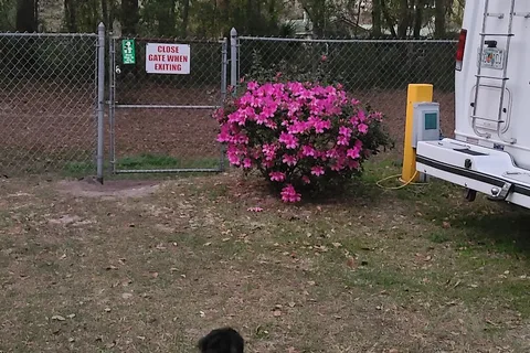 Kelly's Countryside RV Park