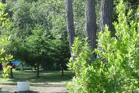 Pomo RV Park and Campground