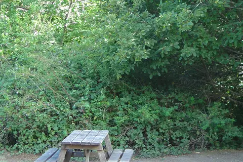 Pomo RV Park and Campground