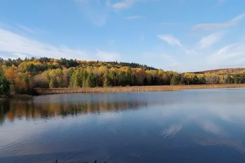 Red Deer Log Cabins and Campground
