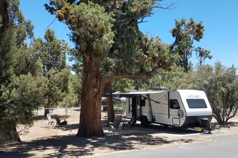 Pine Tree RV Park