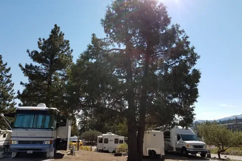 Pine Tree RV Park