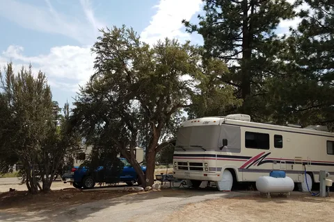 Pine Tree RV Park