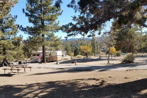 Pine Tree RV Park