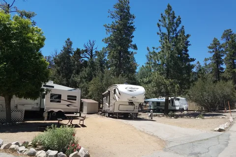 Pine Tree RV Park