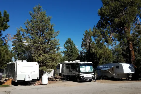 Pine Tree RV Park