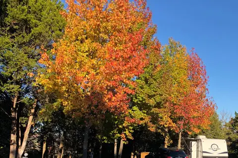 Lakeview Campground