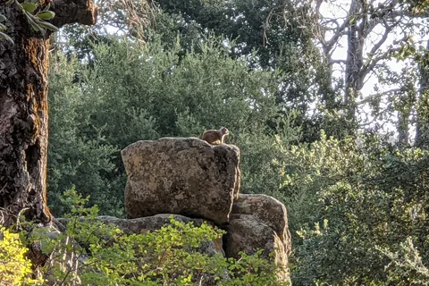 Green Valley - Cuyamaca Rancho State Park