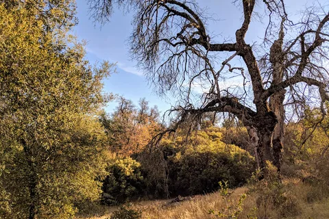 Green Valley - Cuyamaca Rancho State Park
