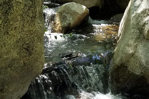 Green Valley - Cuyamaca Rancho State Park
