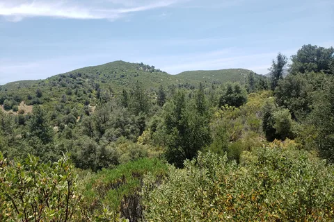 Green Valley - Cuyamaca Rancho State Park