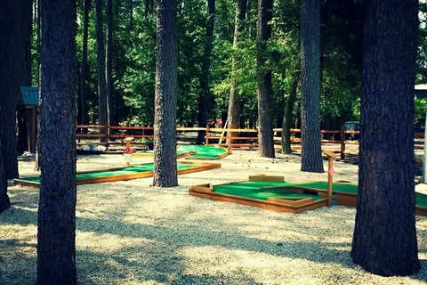 Holly Lake Campsites