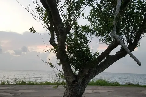 Eagle Point Fishing Camp Inc