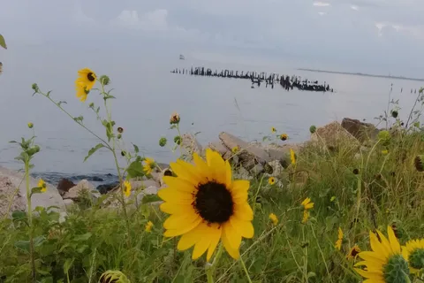 Eagle Point Fishing Camp Inc