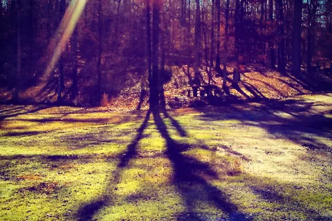 Holmes County State Park