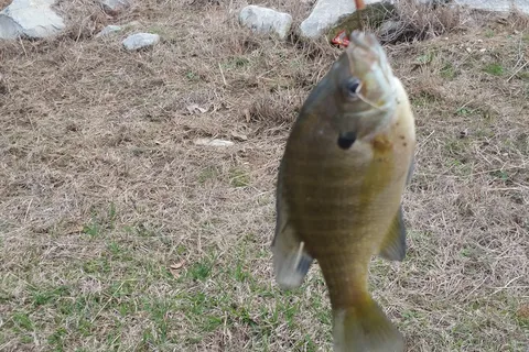 Holmes County State Park