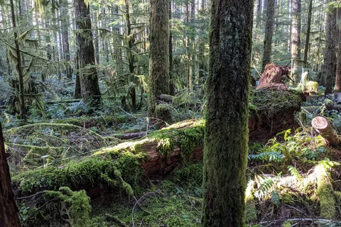 Gordon Bay Provincial Park