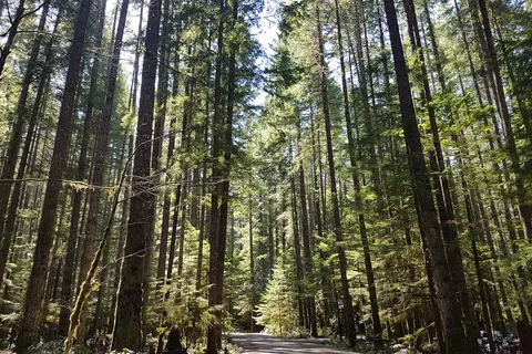 Gordon Bay Provincial Park