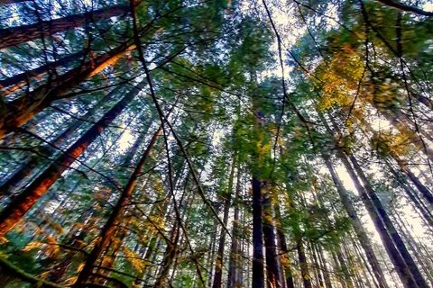 Gordon Bay Provincial Park
