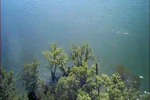 Pontiac Cove Marina and Lake Harbour Resort
