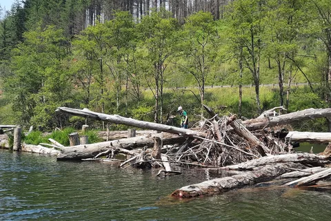 Promontory Park Campground