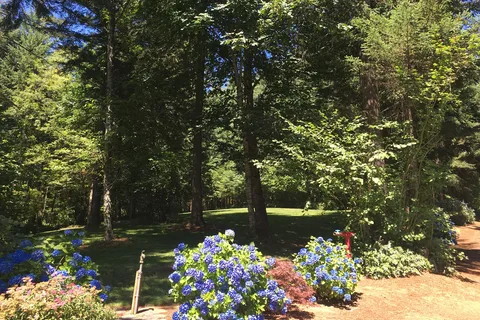 Timberlake Campground and RV Park
