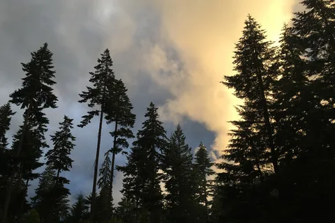 Timberlake Campground and RV Park