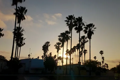 Bentsen Palm RV Park