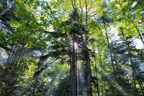 Mt Desert Campground