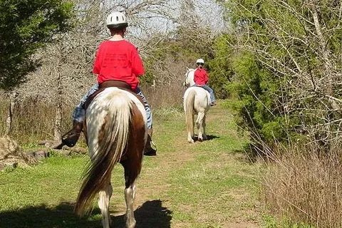 Happy Horse Hotel