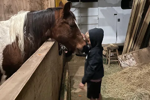 Happy Horse Hotel