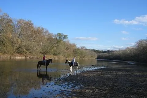 Happy Horse Hotel