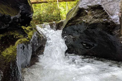 Pequea Creek Campground