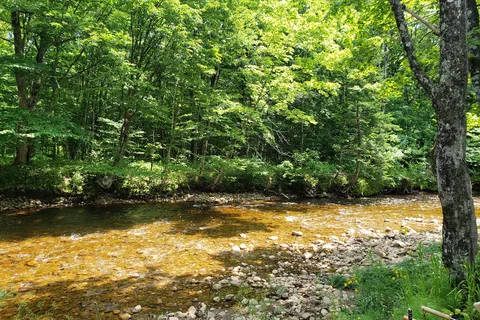 Camping Stoneham Inc