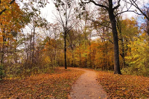 Weston Bend State Park
