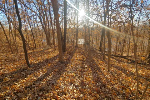 Weston Bend State Park