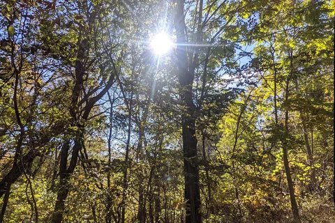 Weston Bend State Park