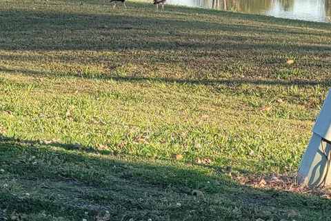 Shady Oaks RV and Mobile Home Park