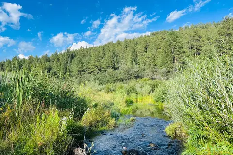 Coyote Creek State Park