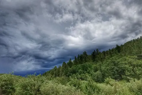 Coyote Creek State Park