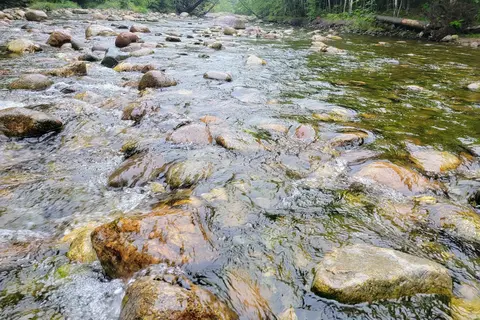 Maple Haven Camping Cottages