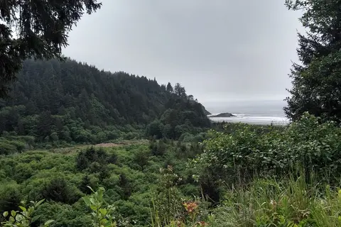 Driftwood RV Park