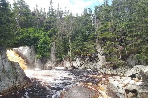 J.T. Cheeseman Provincial Park