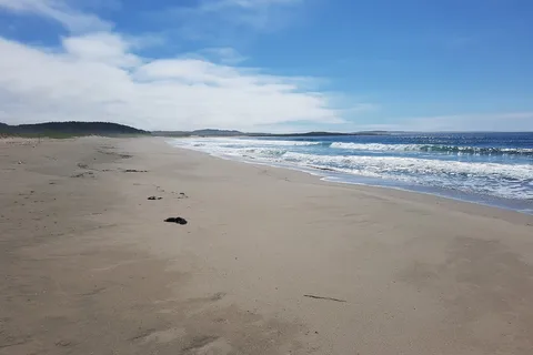J.T. Cheeseman Provincial Park