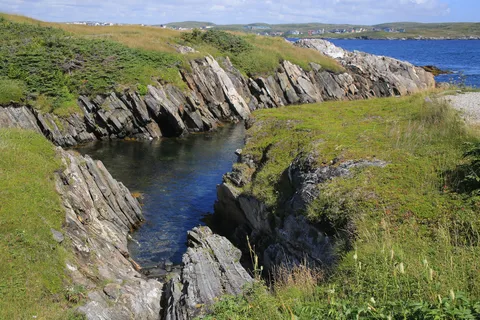 J.T. Cheeseman Provincial Park